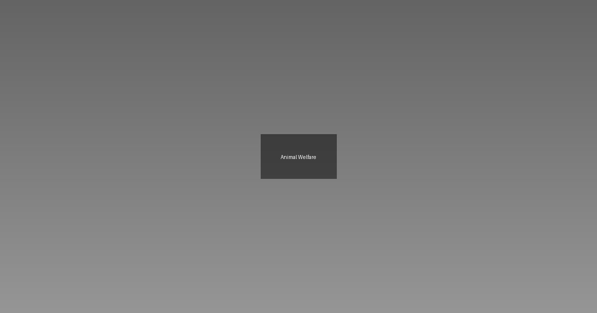 Protect dogs From human encroachment