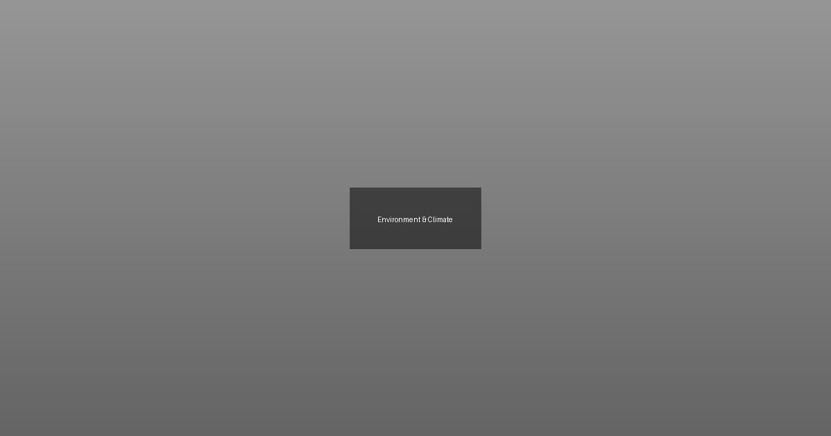 Stop logging project in Oakville